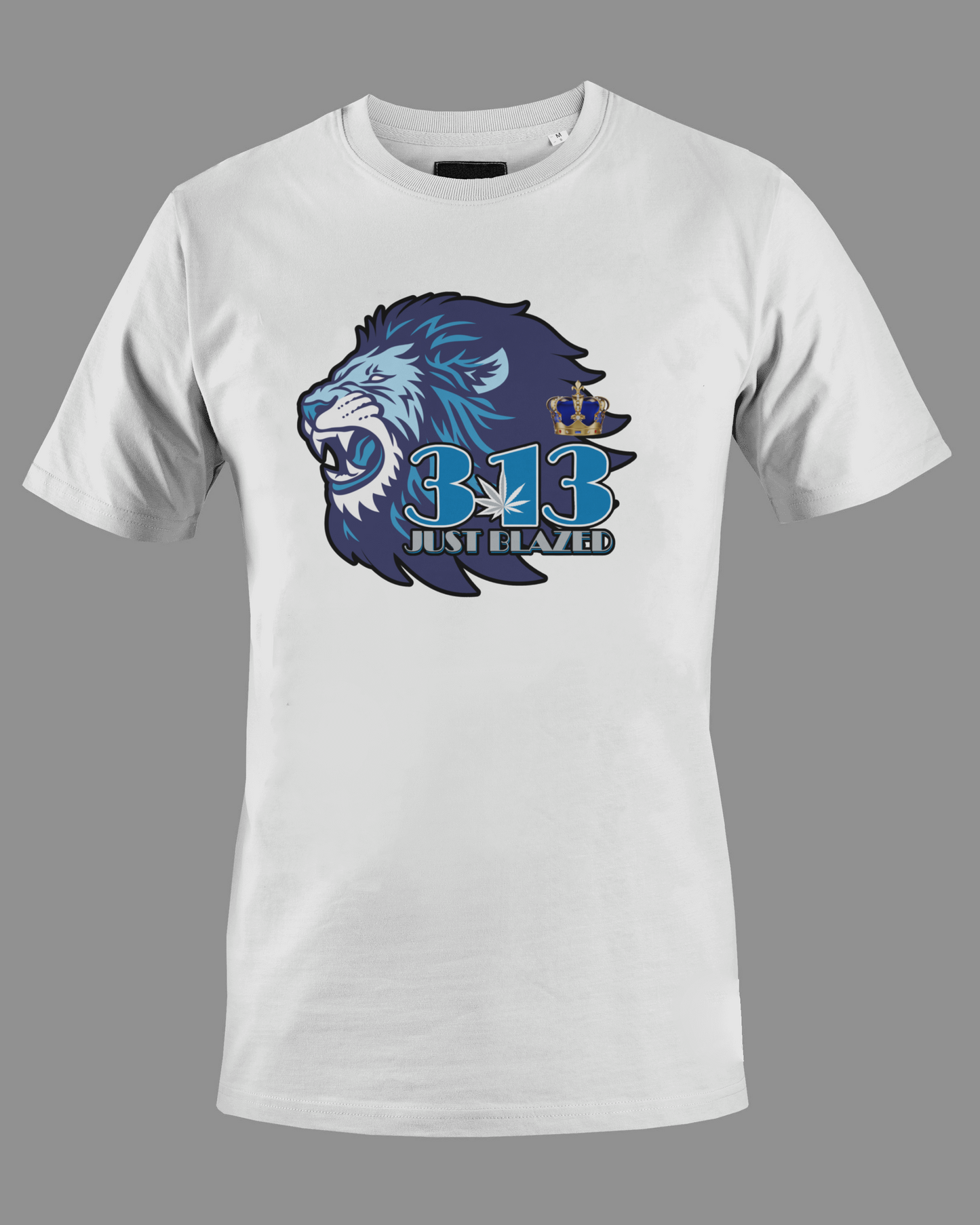 313 Just Blazed Area Code Shirt- Detroit Lions Edition.