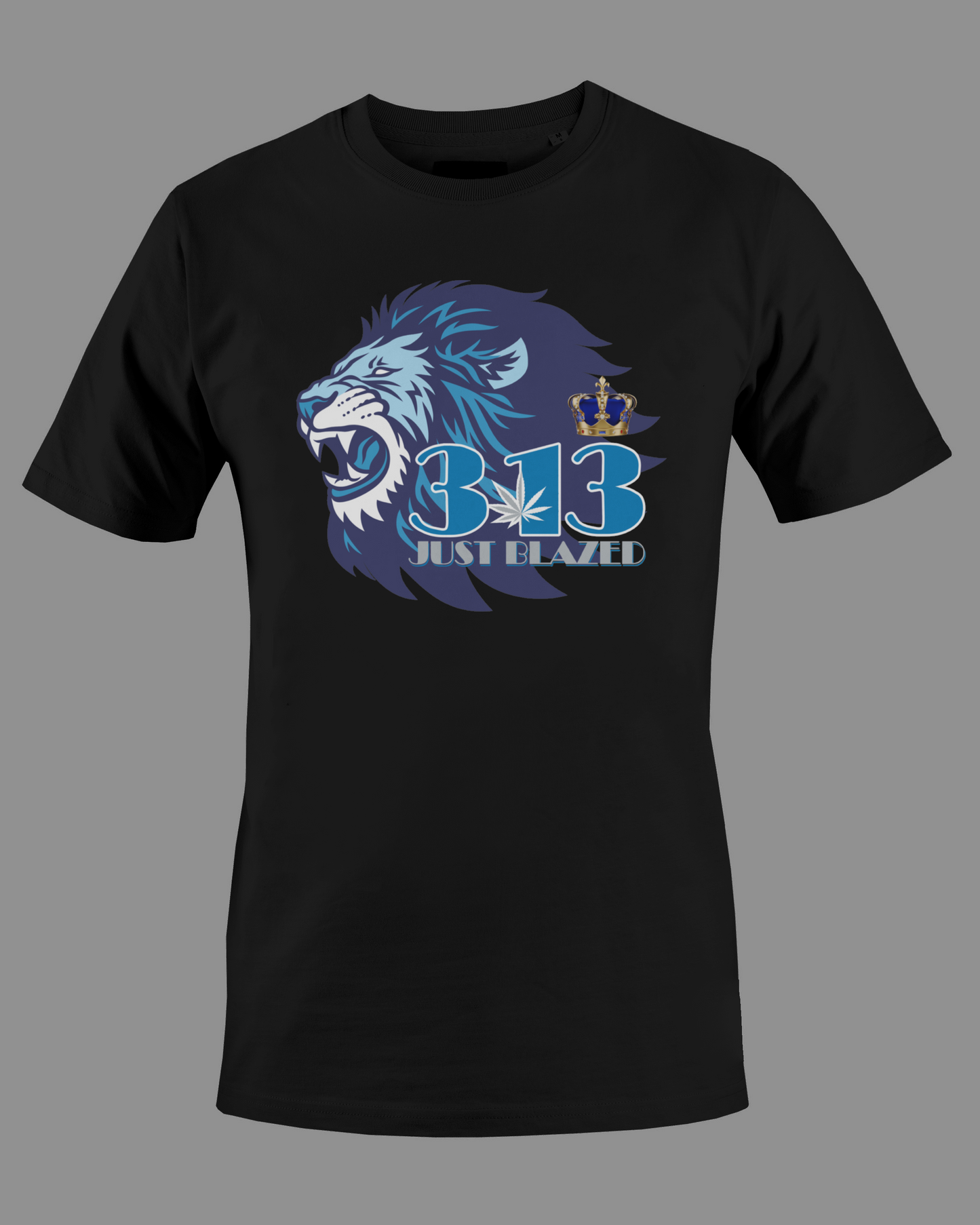 313 Just Blazed Area Code Shirt- Detroit Lions Edition.